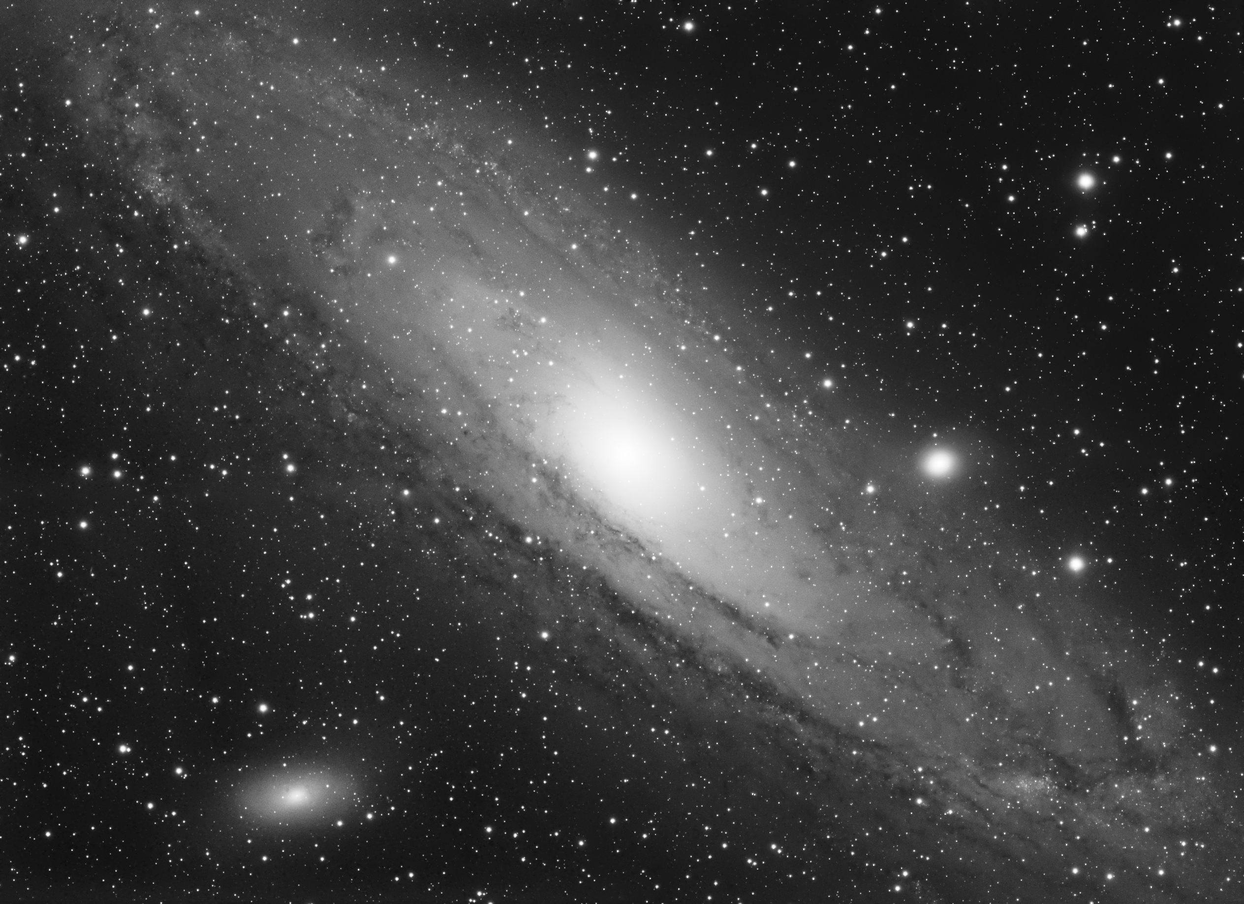 The Andromeda Galaxy (M31)