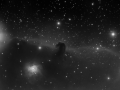 The Horsehead Nebula (IC434)