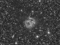 The Cocoon Nebula (IC5146)