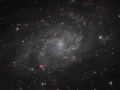 The Triangulum Galaxy (M33)
