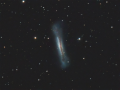 The Hamburger Galaxy (NGC3628)