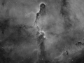 The Elephant Trunk Nebula (IC1396)